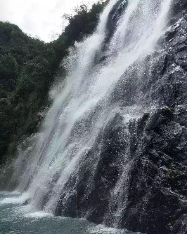 嘉日单词